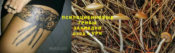 гидра Беломорск